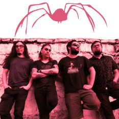 LA ARAÑA