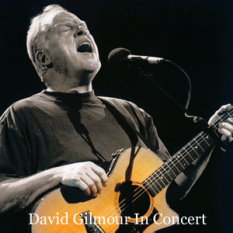 David Gilmour in Concert