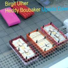 Heddy Boubaker / Birgit Ulher