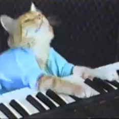 Keyboard Cat