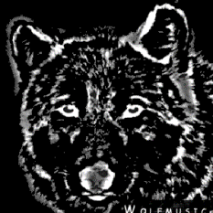 Wolfmusic