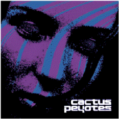 Cactus Peyotes