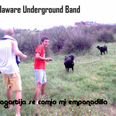 Dellaware Underground Band