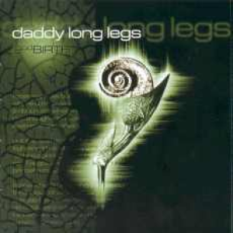 Daddy-Long-Legs