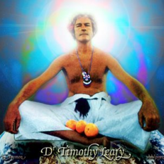 Dr. Timothy Leary Ph.D.