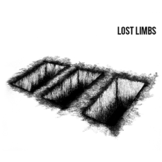 Lost Limbs