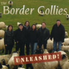 The Border Collies