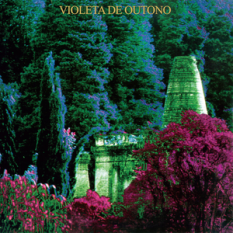 Violeta de Outono