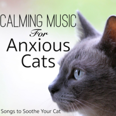 Cat Music Dreams & RelaxMyCat