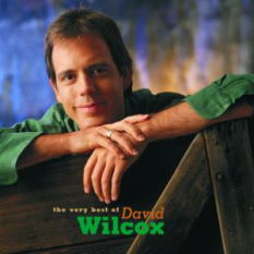 The Very Best Of David Wilcox