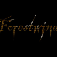Forestwind