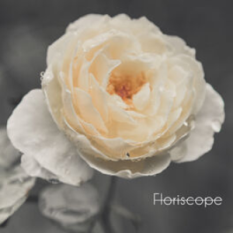 Floriscope