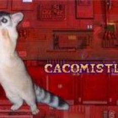 cacomistle