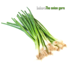 The Onion Gore