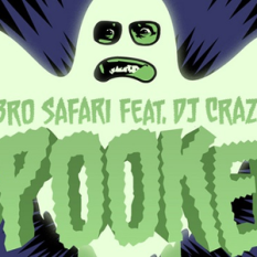 Bro Safari feat. DJ Craze