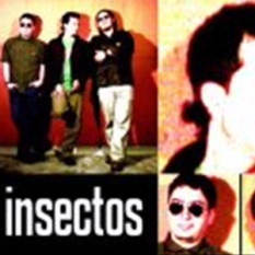 Los Insectos