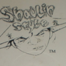 Shaolin Style