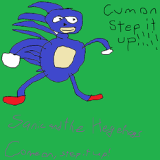 Sanic and the Hegehogs