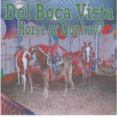Del Boca Vista