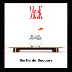 Sortie de Secours