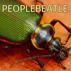 Peoplebeatle